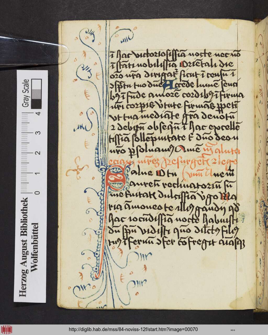 http://diglib.hab.de/mss/84-noviss-12f/00070.jpg