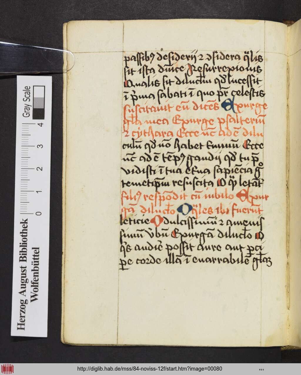 http://diglib.hab.de/mss/84-noviss-12f/00080.jpg