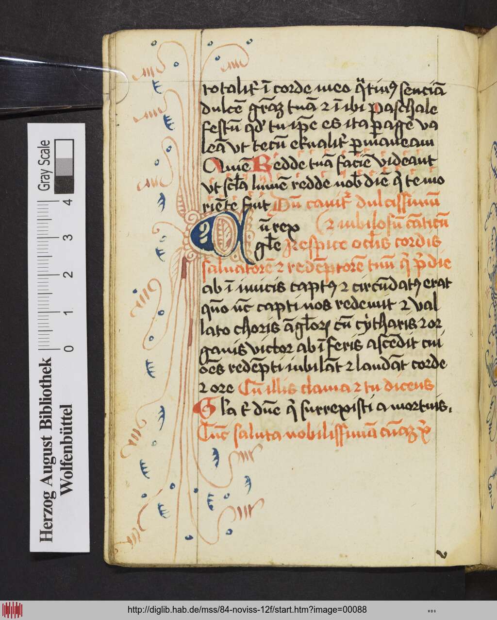 http://diglib.hab.de/mss/84-noviss-12f/00088.jpg