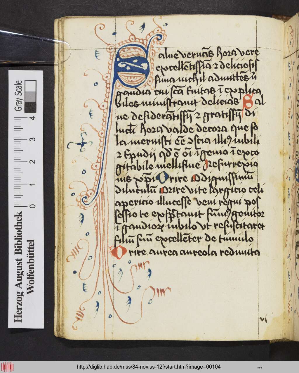 http://diglib.hab.de/mss/84-noviss-12f/00104.jpg