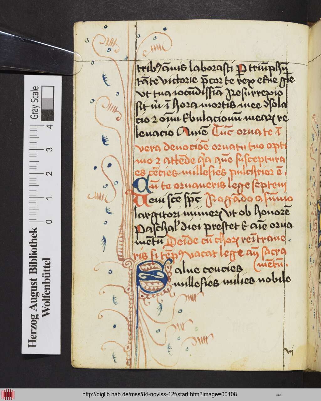 http://diglib.hab.de/mss/84-noviss-12f/00108.jpg