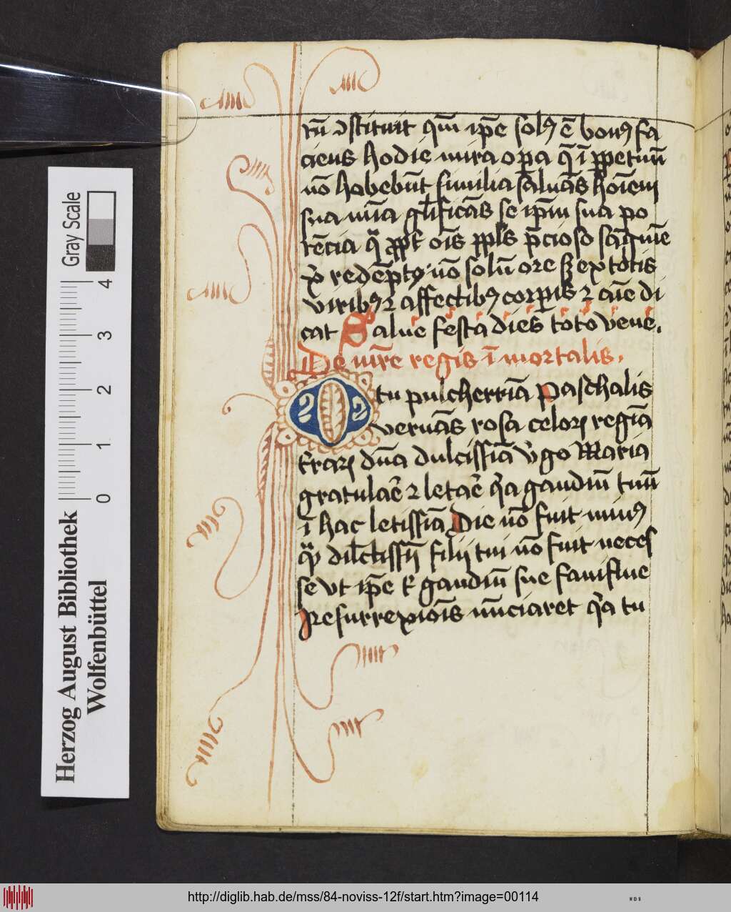 http://diglib.hab.de/mss/84-noviss-12f/00114.jpg