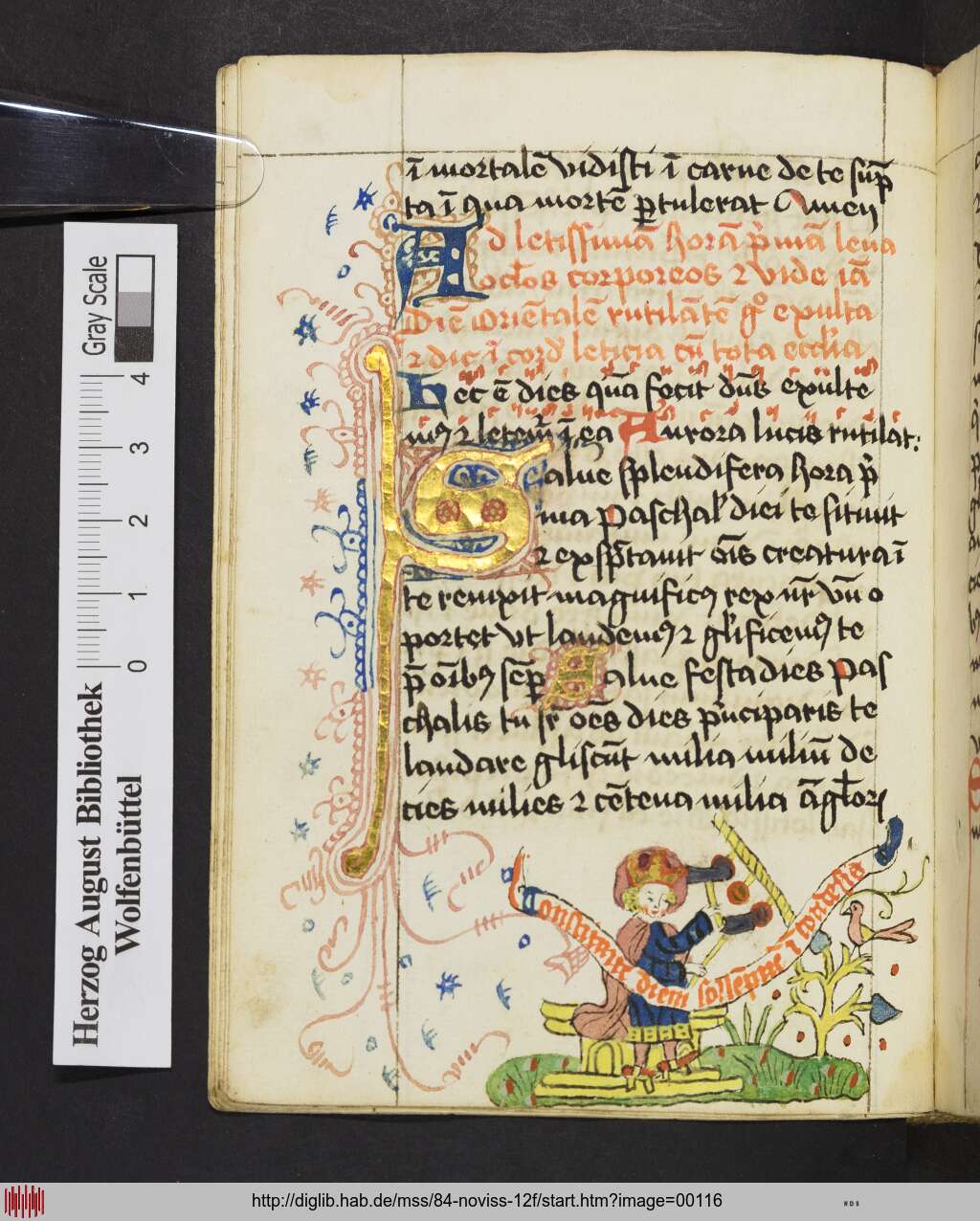 http://diglib.hab.de/mss/84-noviss-12f/00116.jpg