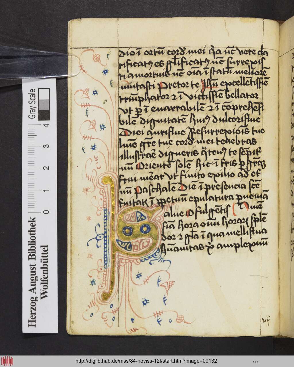 http://diglib.hab.de/mss/84-noviss-12f/00132.jpg