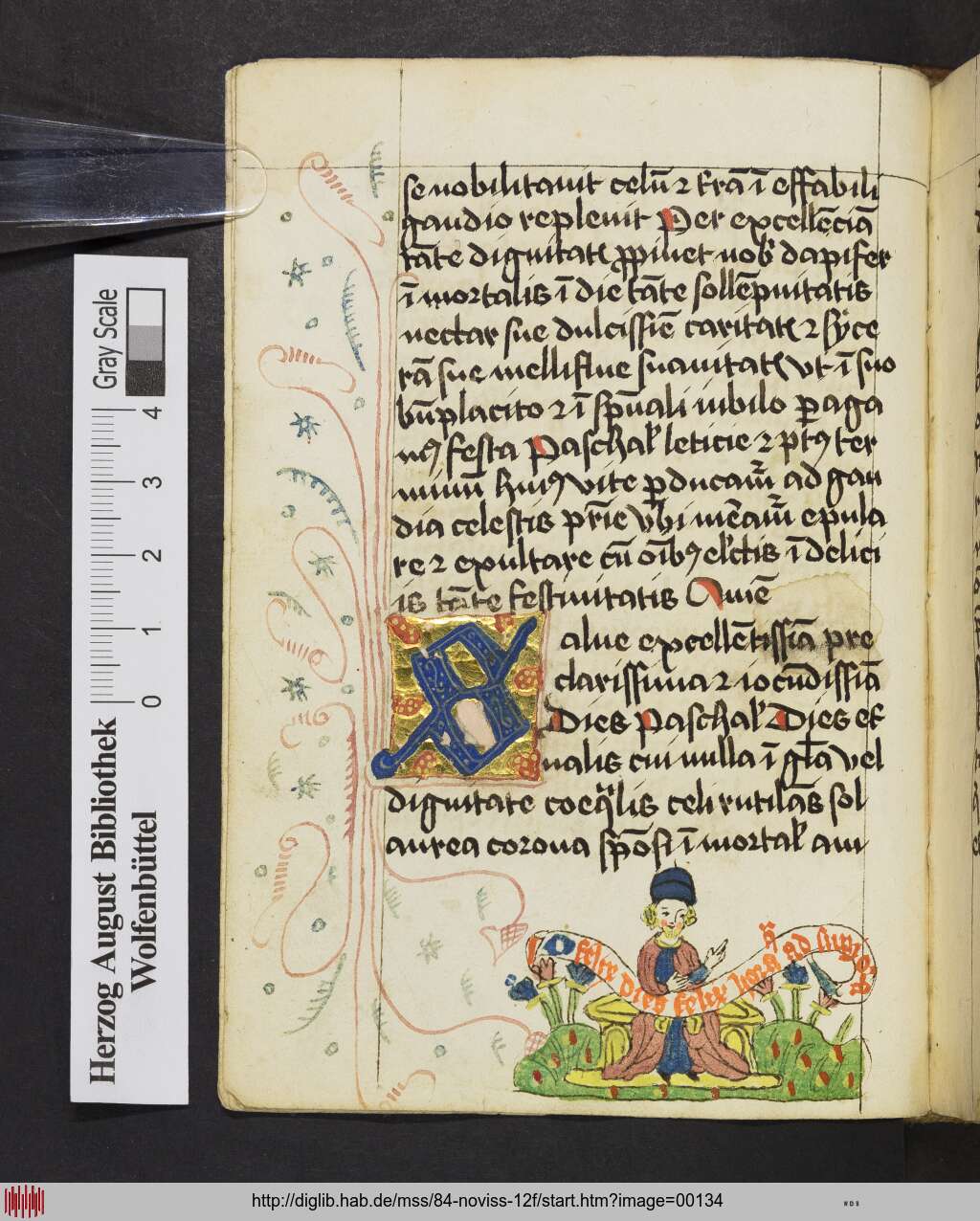 http://diglib.hab.de/mss/84-noviss-12f/00134.jpg
