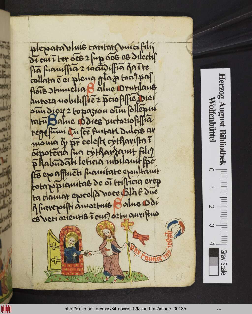 http://diglib.hab.de/mss/84-noviss-12f/00135.jpg