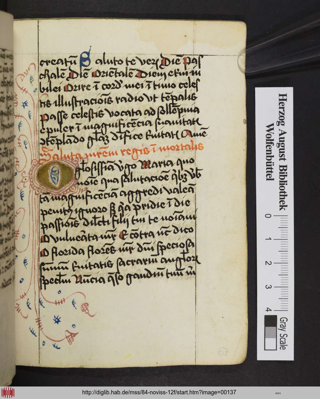 http://diglib.hab.de/mss/84-noviss-12f/00137.jpg