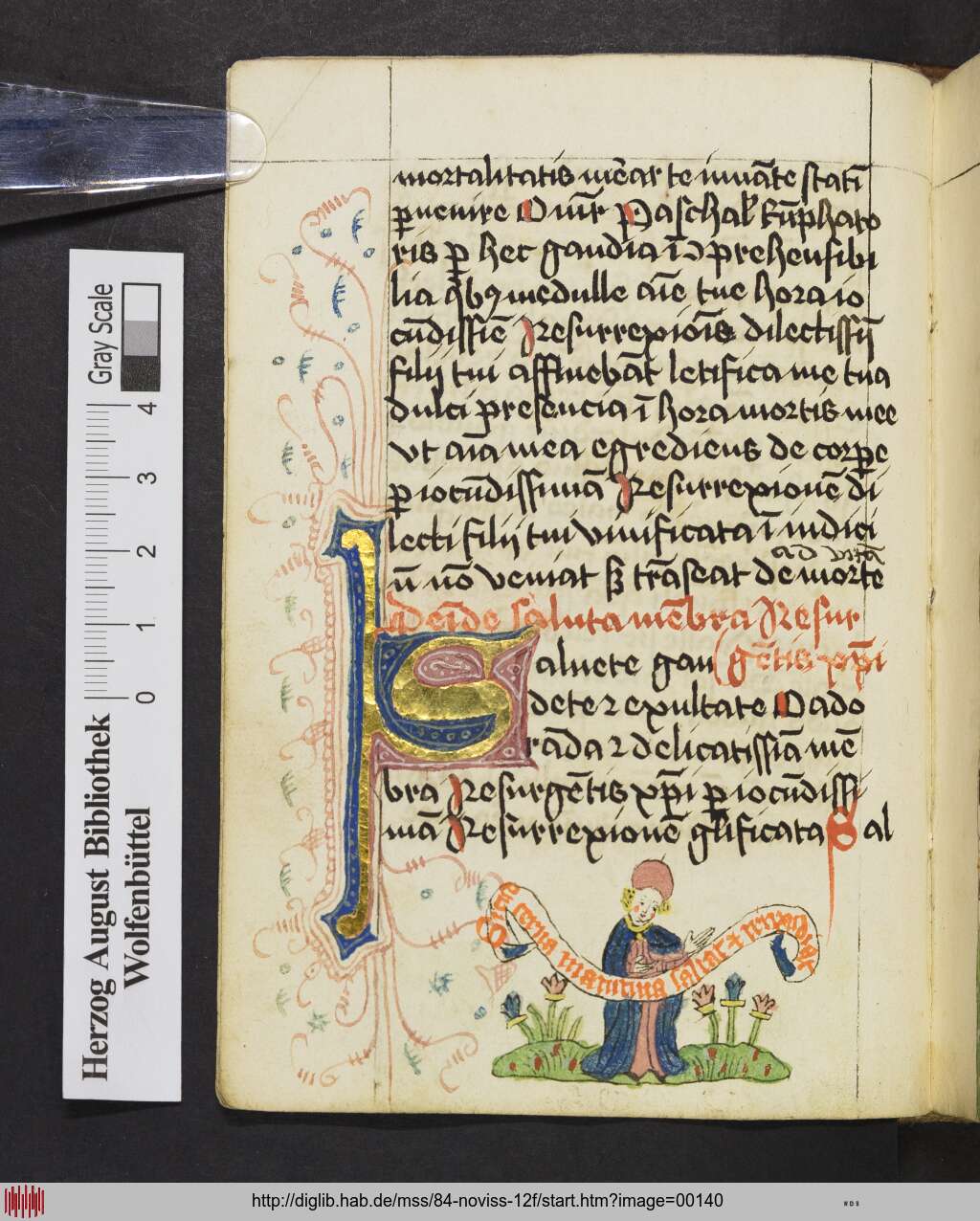 http://diglib.hab.de/mss/84-noviss-12f/00140.jpg
