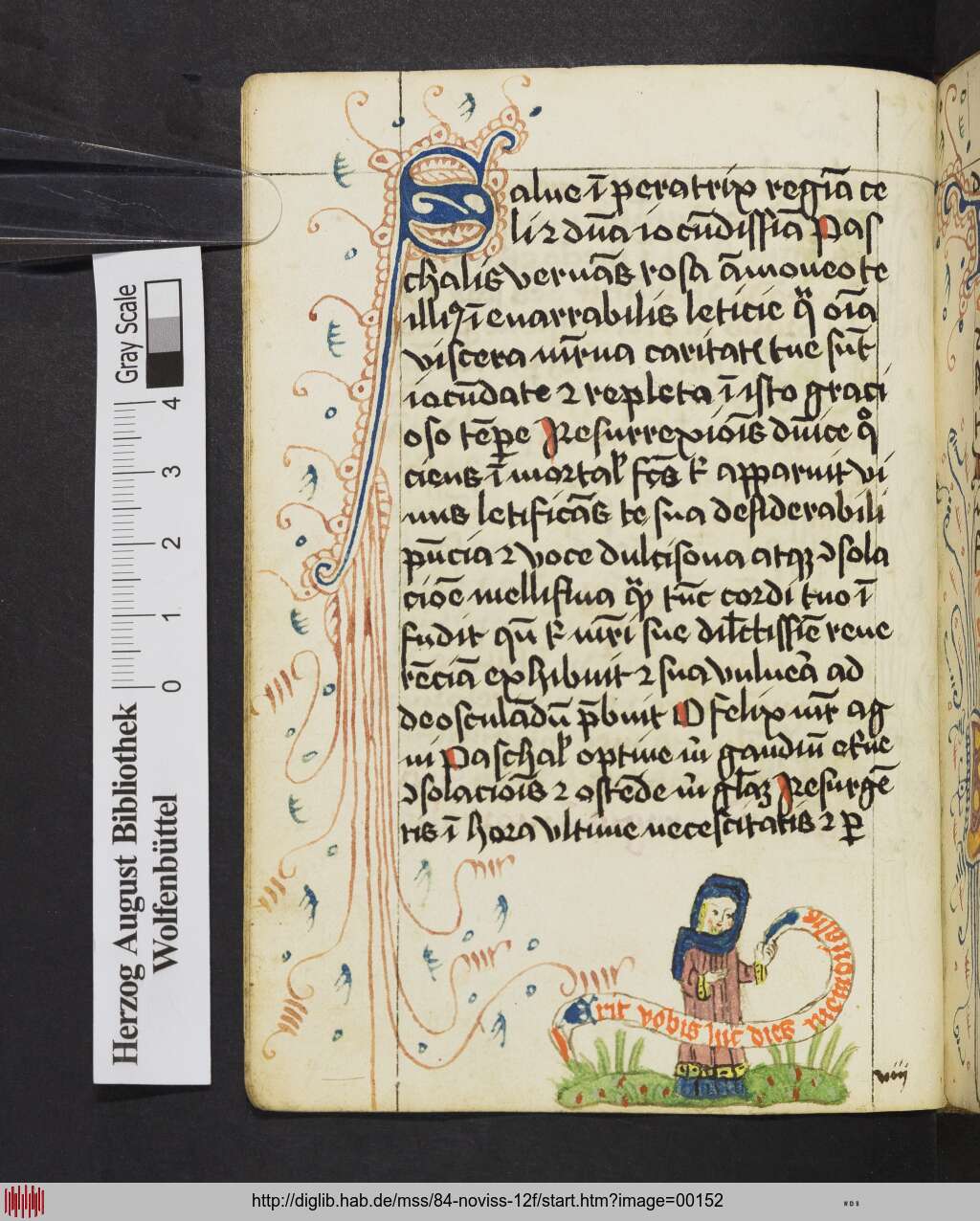 http://diglib.hab.de/mss/84-noviss-12f/00152.jpg