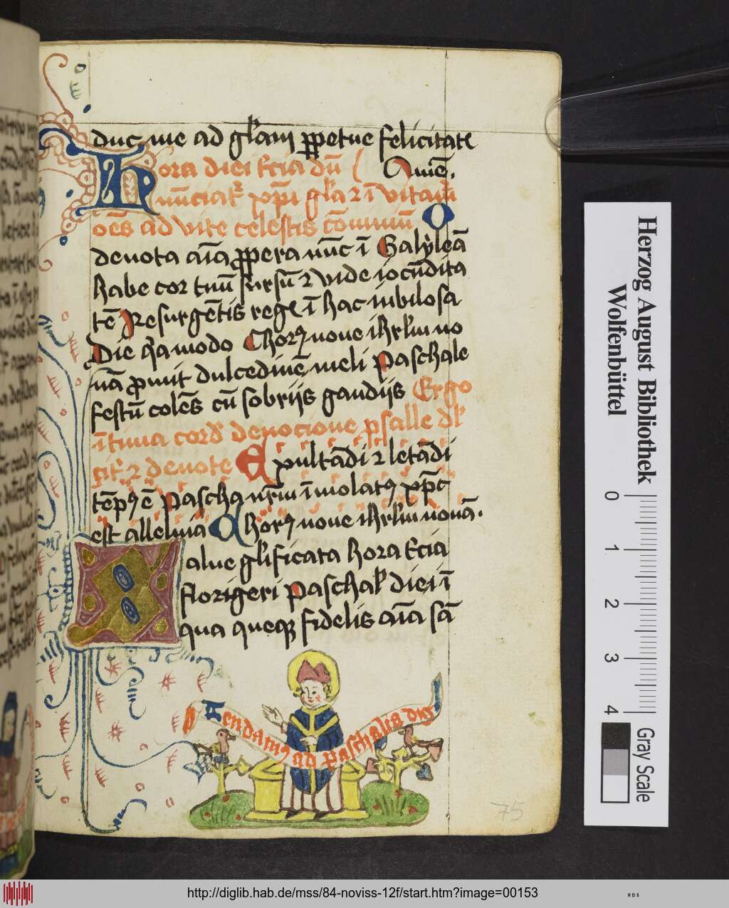 http://diglib.hab.de/mss/84-noviss-12f/00153.jpg