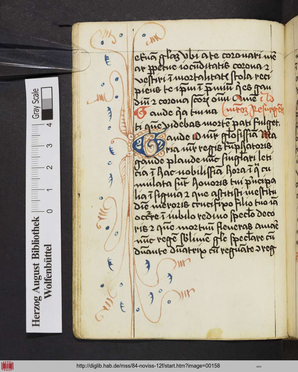 http://diglib.hab.de/mss/84-noviss-12f/00158.jpg