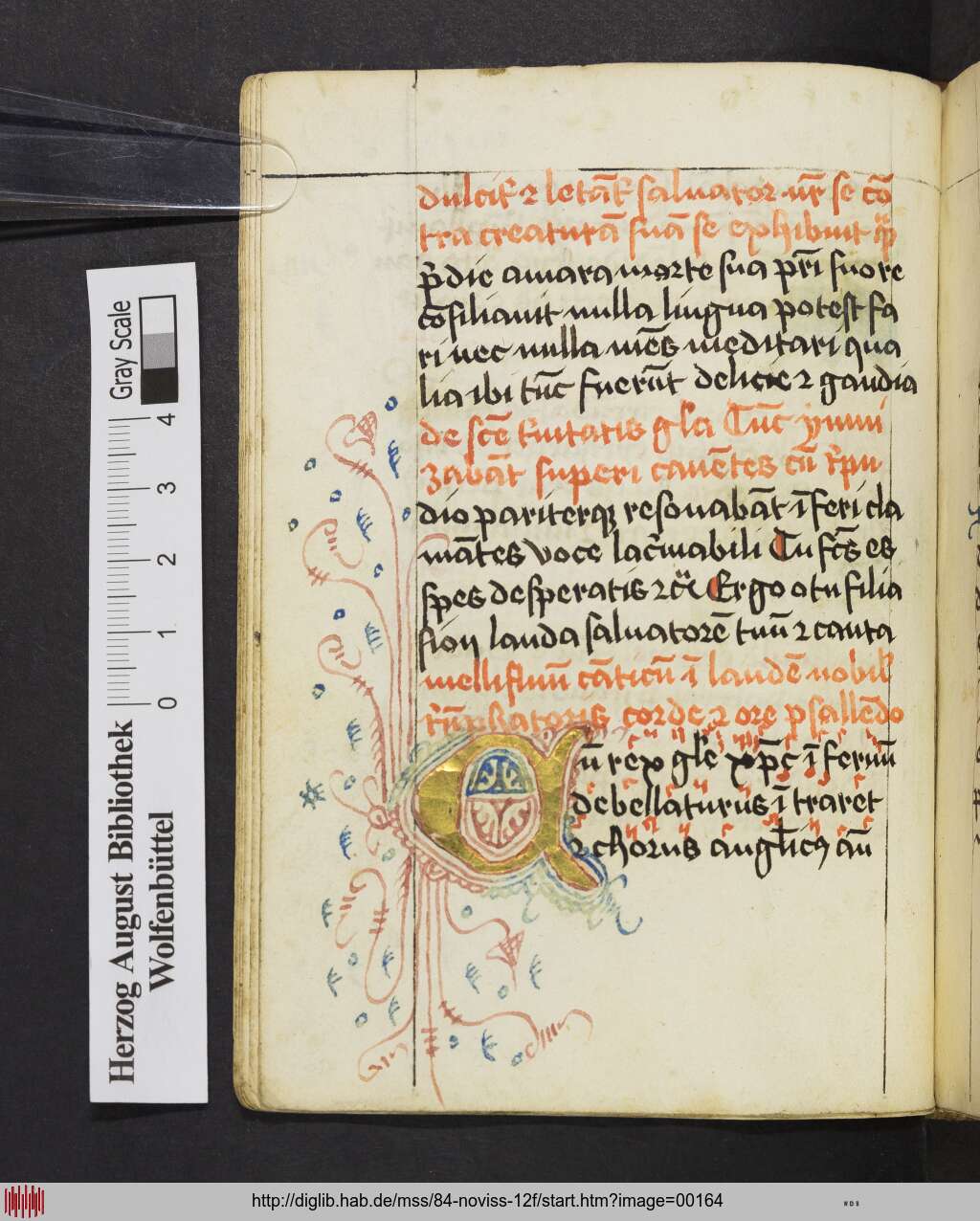 http://diglib.hab.de/mss/84-noviss-12f/00164.jpg