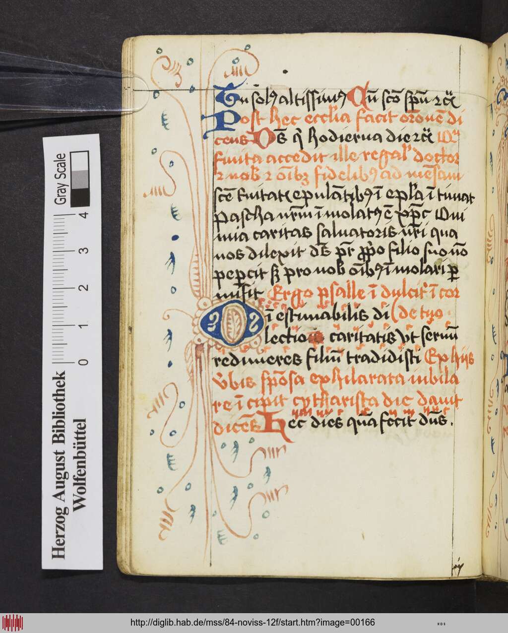 http://diglib.hab.de/mss/84-noviss-12f/00166.jpg