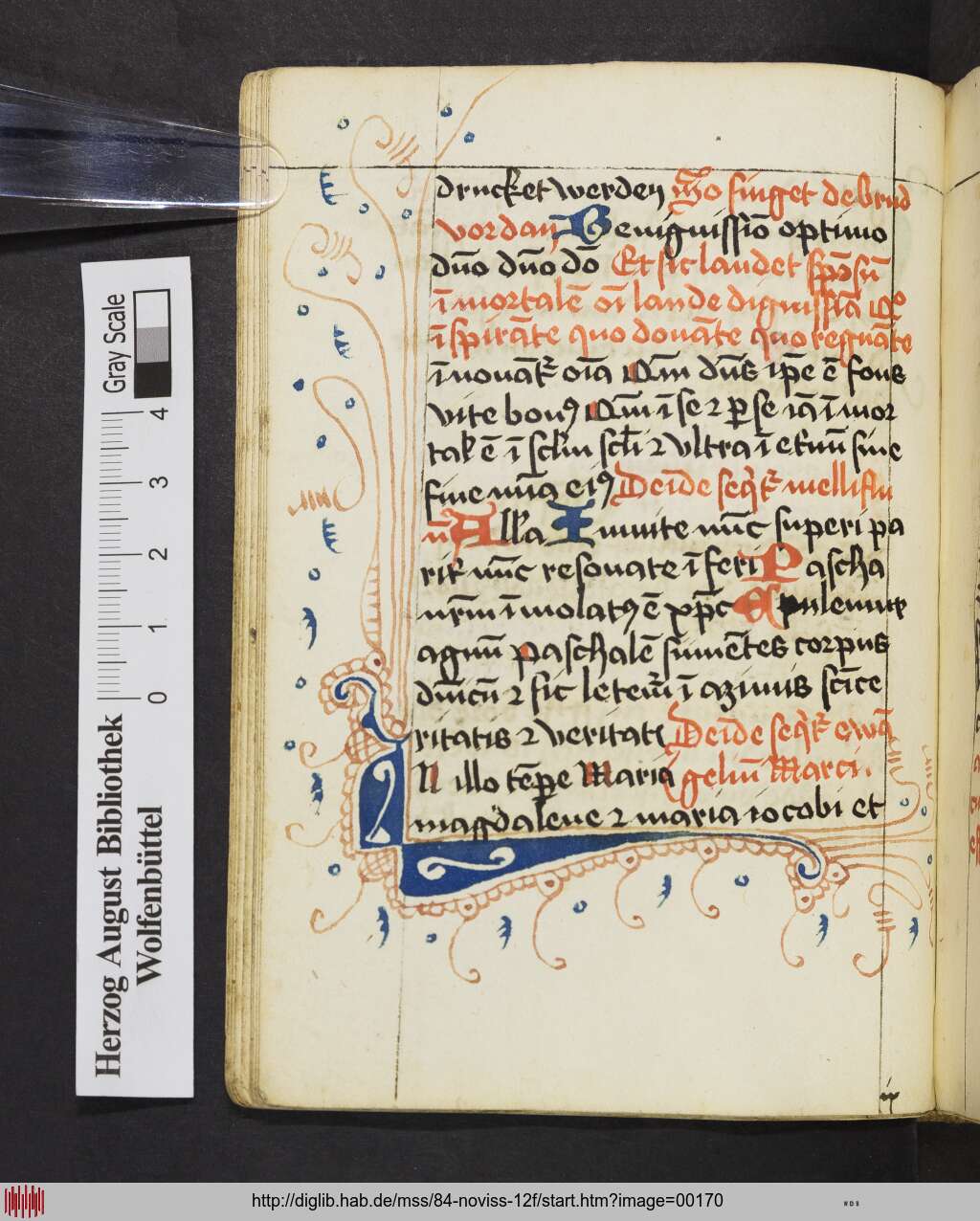 http://diglib.hab.de/mss/84-noviss-12f/00170.jpg