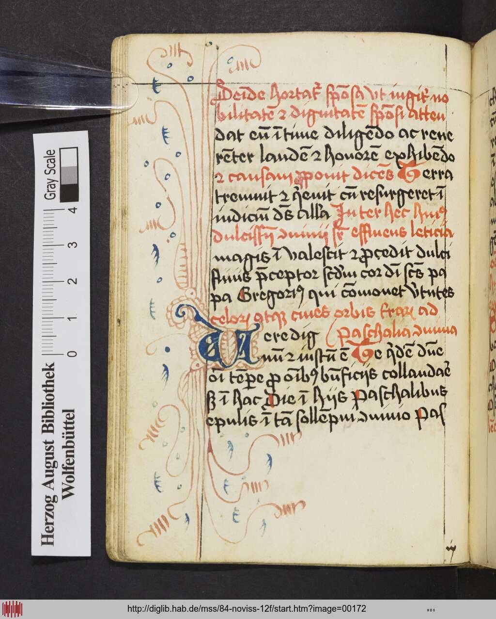 http://diglib.hab.de/mss/84-noviss-12f/00172.jpg