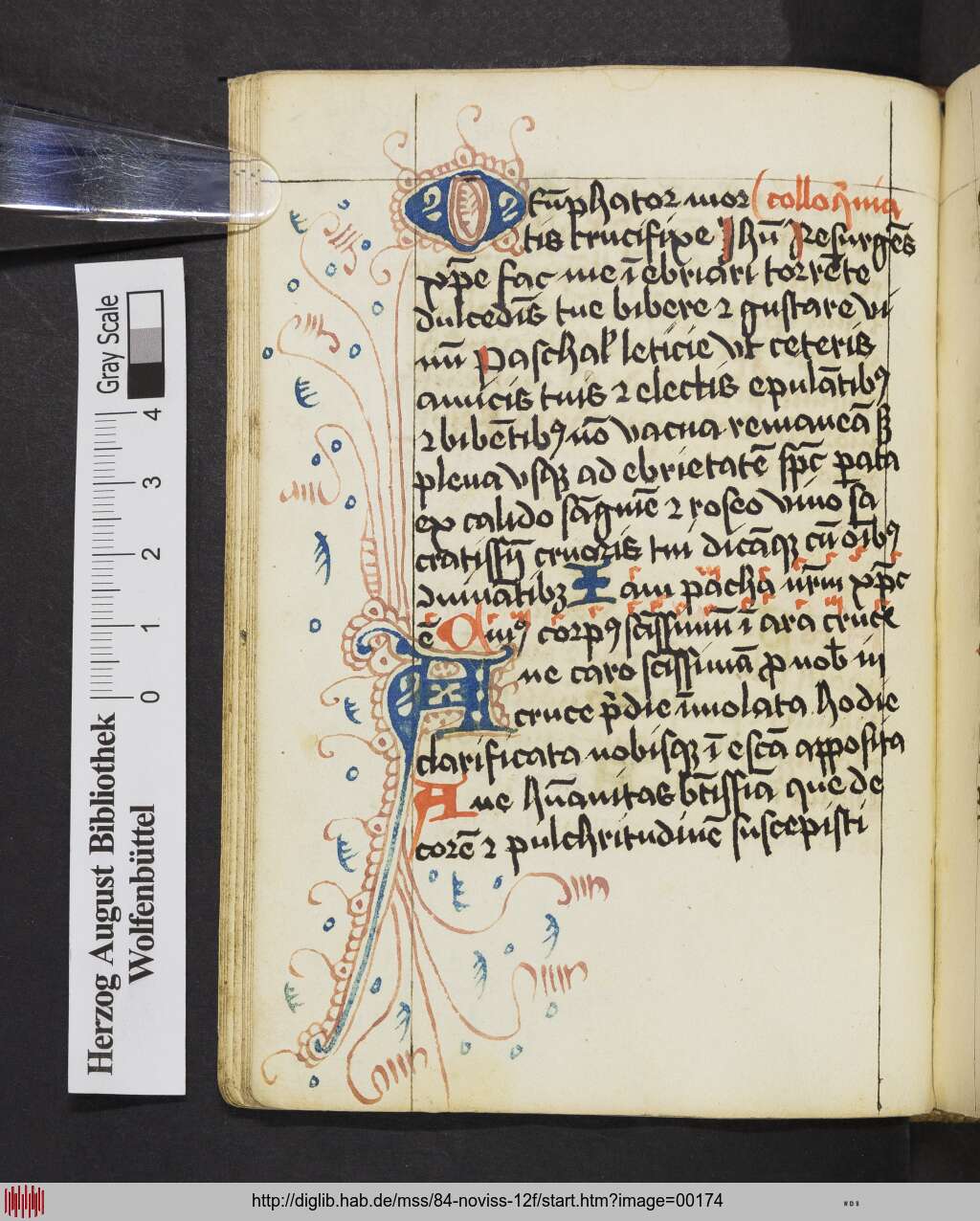 http://diglib.hab.de/mss/84-noviss-12f/00174.jpg