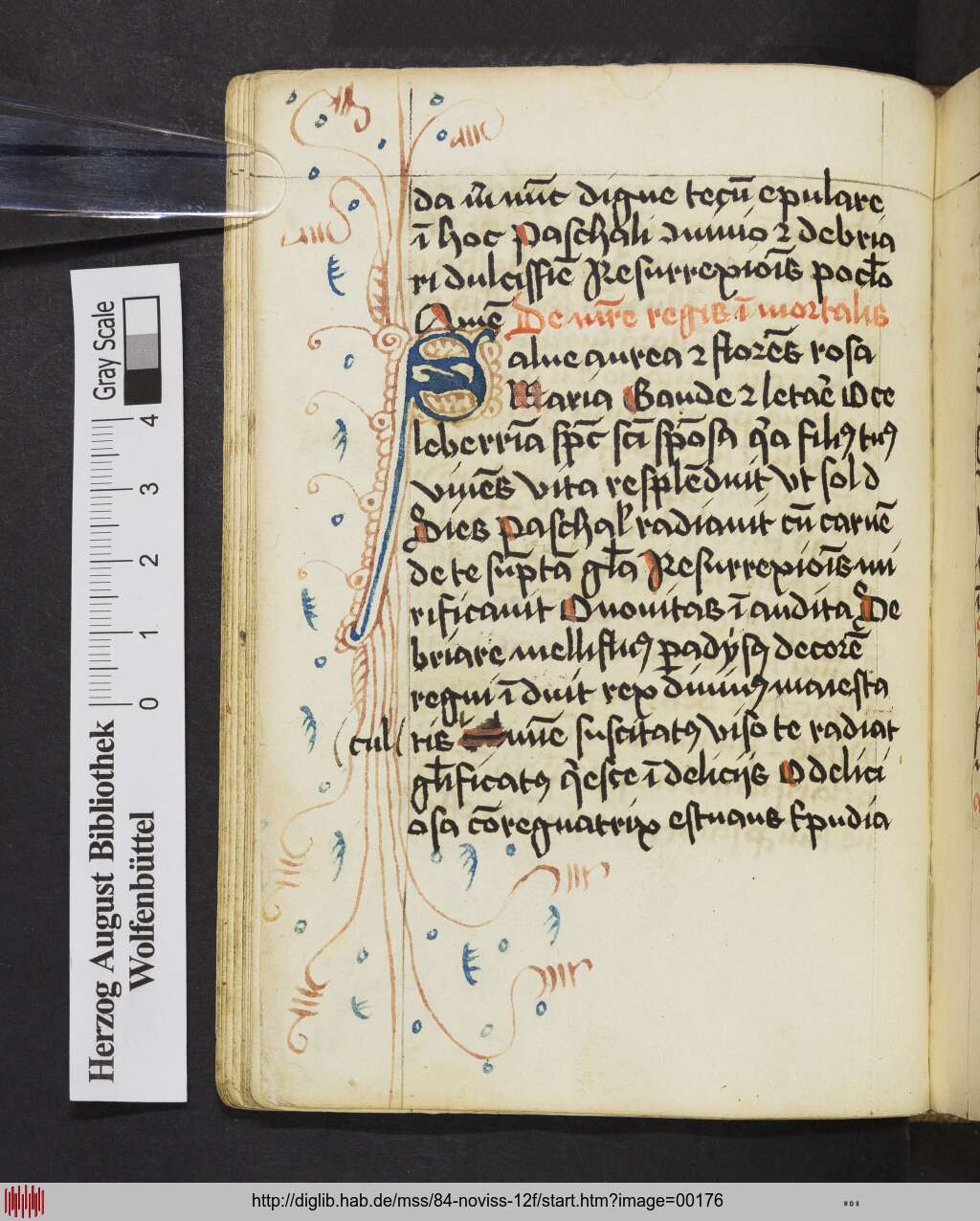 http://diglib.hab.de/mss/84-noviss-12f/00176.jpg