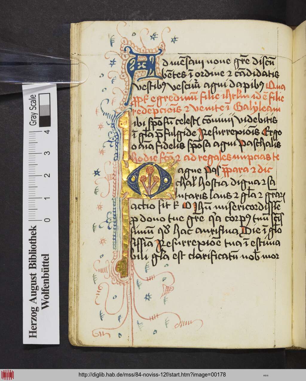 http://diglib.hab.de/mss/84-noviss-12f/00178.jpg