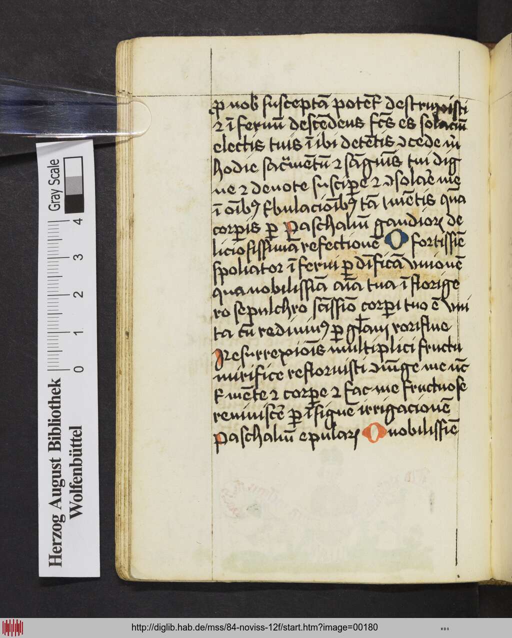 http://diglib.hab.de/mss/84-noviss-12f/00180.jpg
