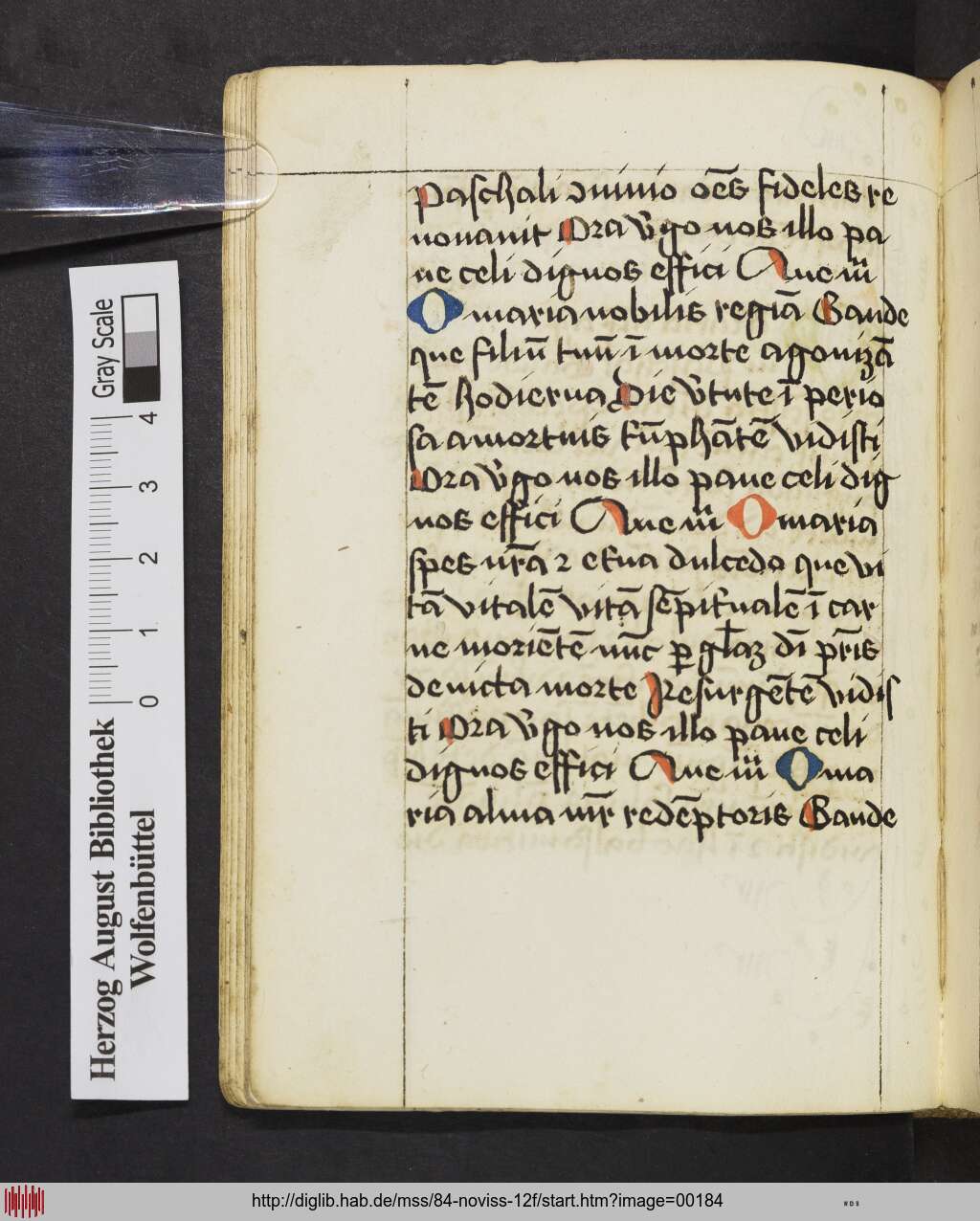 http://diglib.hab.de/mss/84-noviss-12f/00184.jpg