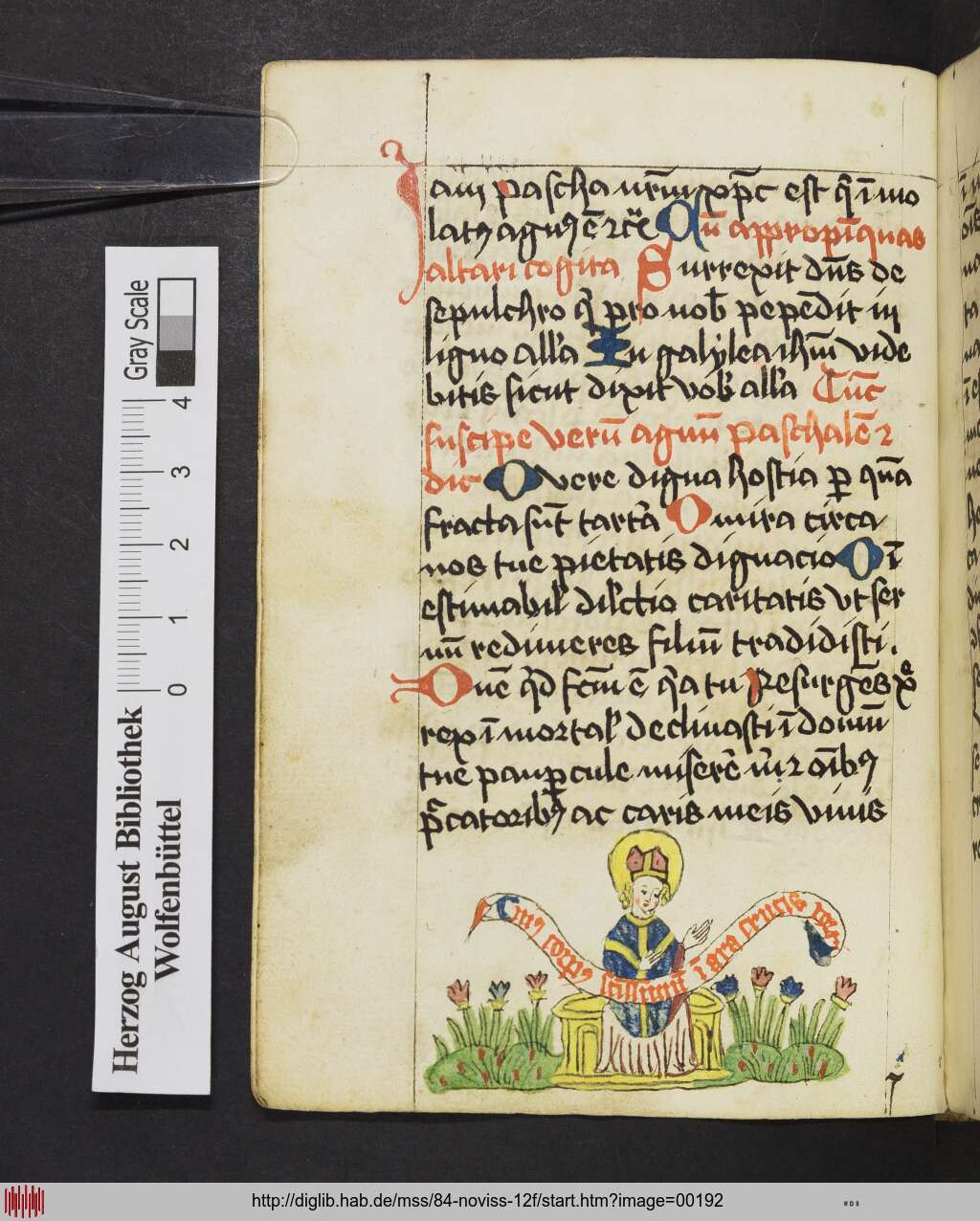 http://diglib.hab.de/mss/84-noviss-12f/00192.jpg