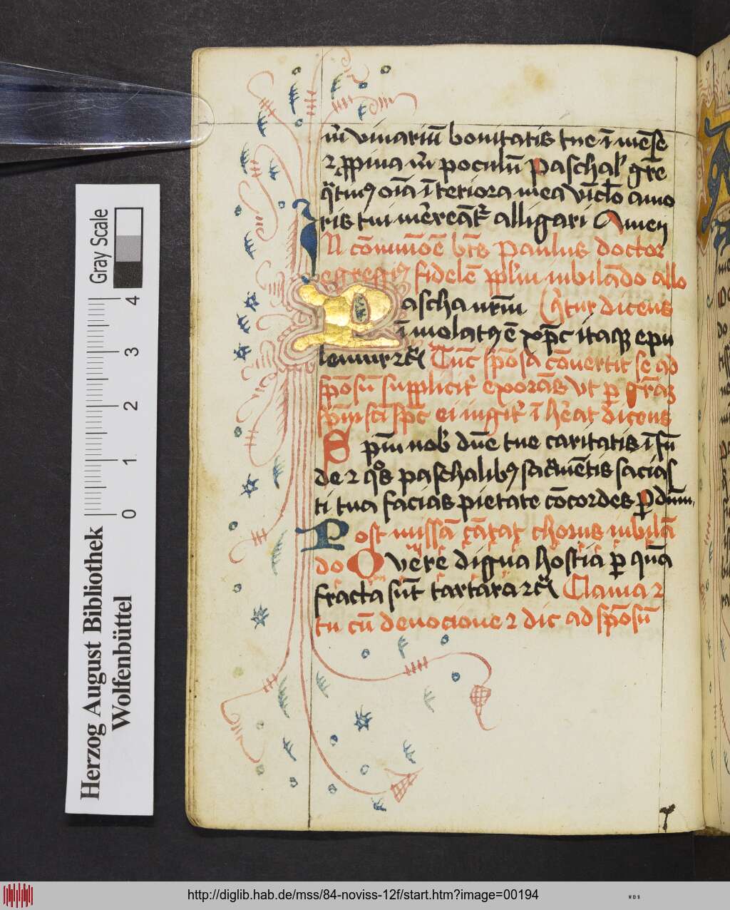 http://diglib.hab.de/mss/84-noviss-12f/00194.jpg