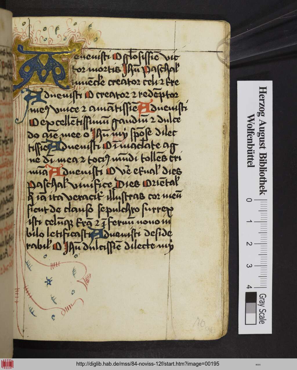 http://diglib.hab.de/mss/84-noviss-12f/00195.jpg