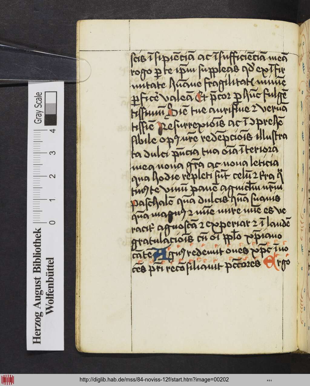 http://diglib.hab.de/mss/84-noviss-12f/00202.jpg