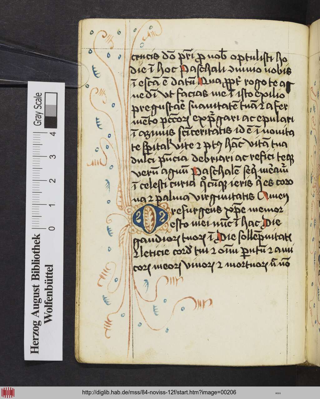 http://diglib.hab.de/mss/84-noviss-12f/00206.jpg