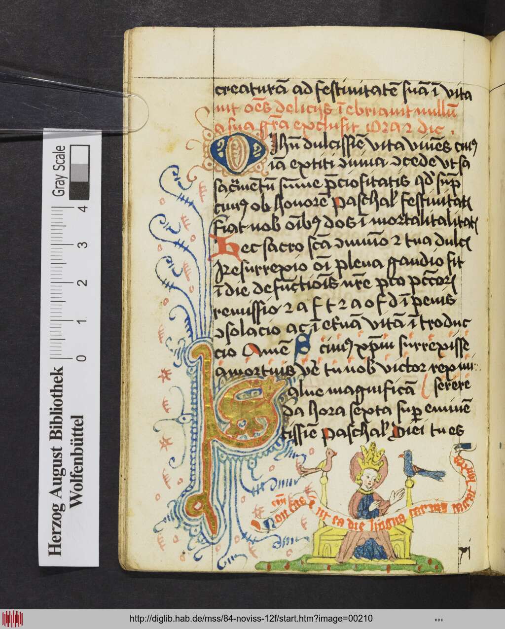 http://diglib.hab.de/mss/84-noviss-12f/00210.jpg