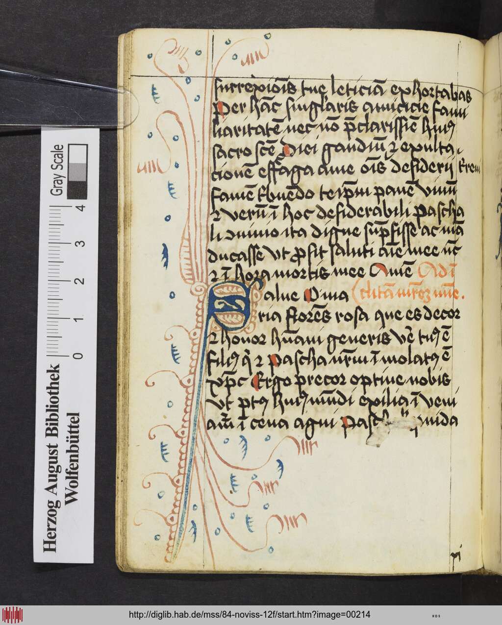 http://diglib.hab.de/mss/84-noviss-12f/00214.jpg
