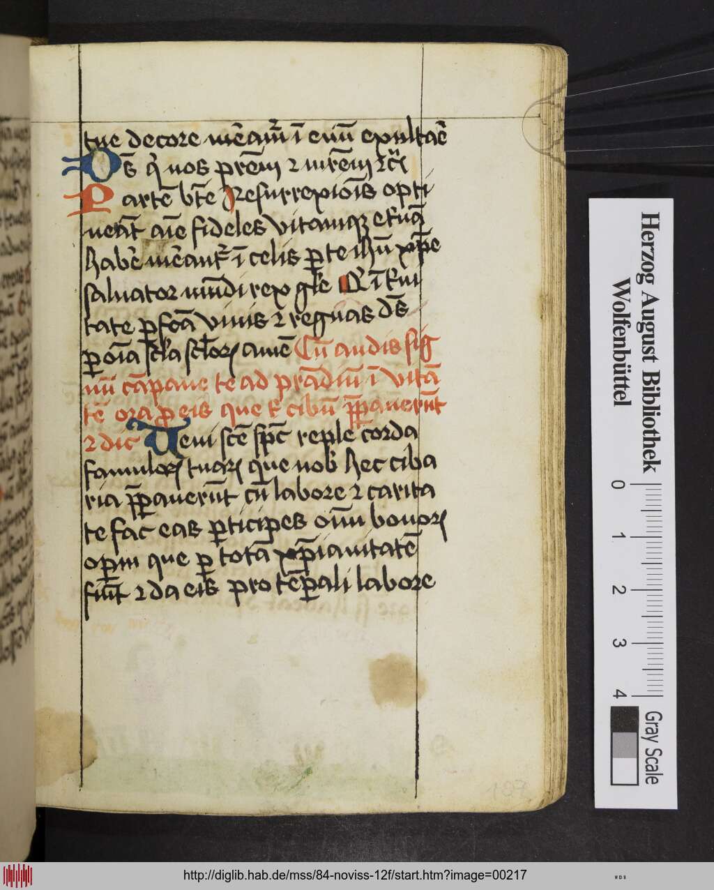 http://diglib.hab.de/mss/84-noviss-12f/00217.jpg