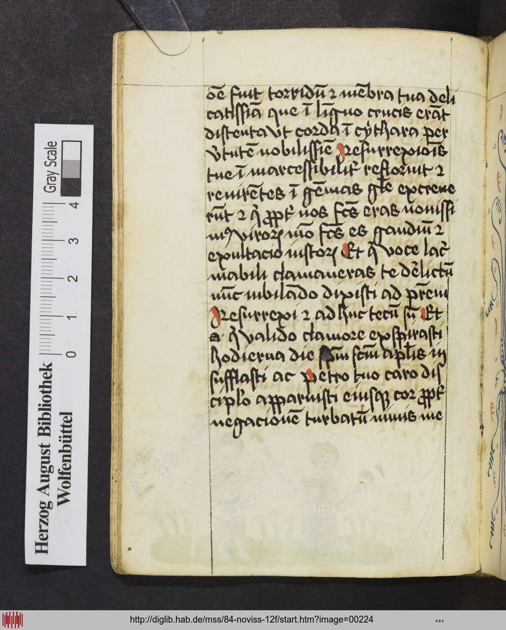 http://diglib.hab.de/mss/84-noviss-12f/00224.jpg