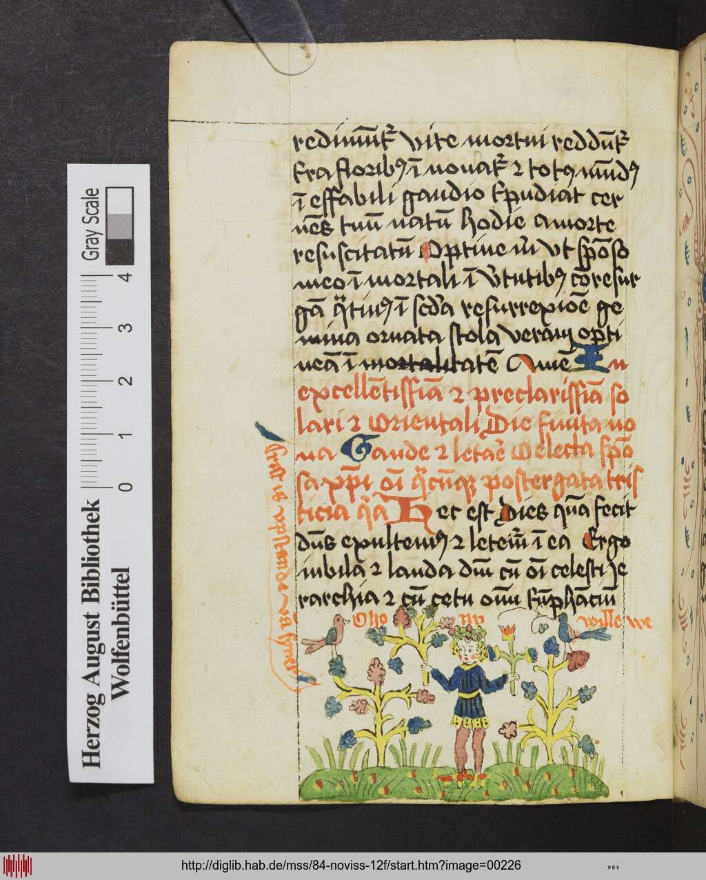 http://diglib.hab.de/mss/84-noviss-12f/00226.jpg