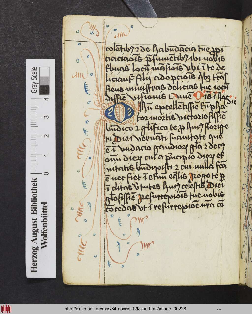 http://diglib.hab.de/mss/84-noviss-12f/00228.jpg