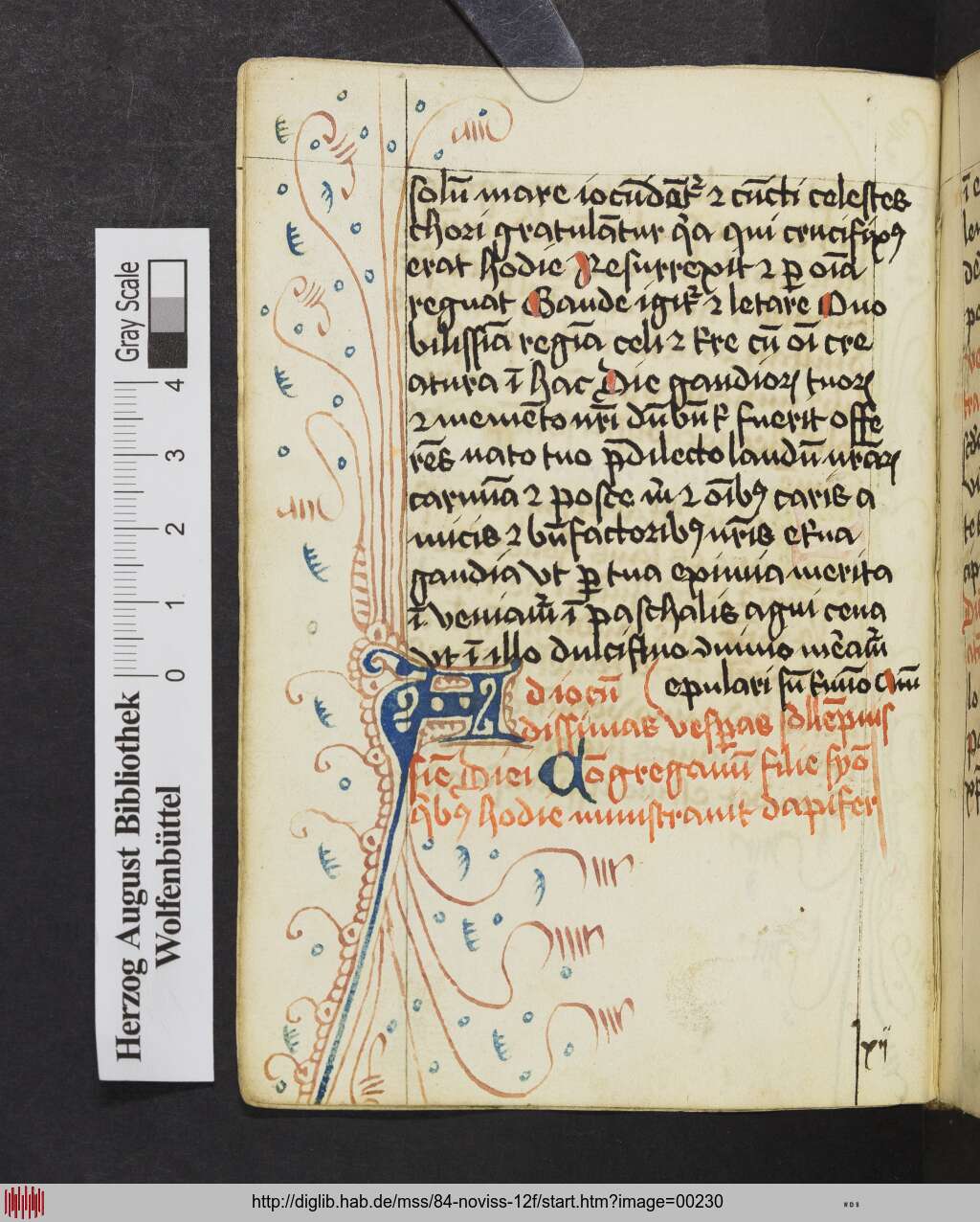 http://diglib.hab.de/mss/84-noviss-12f/00230.jpg