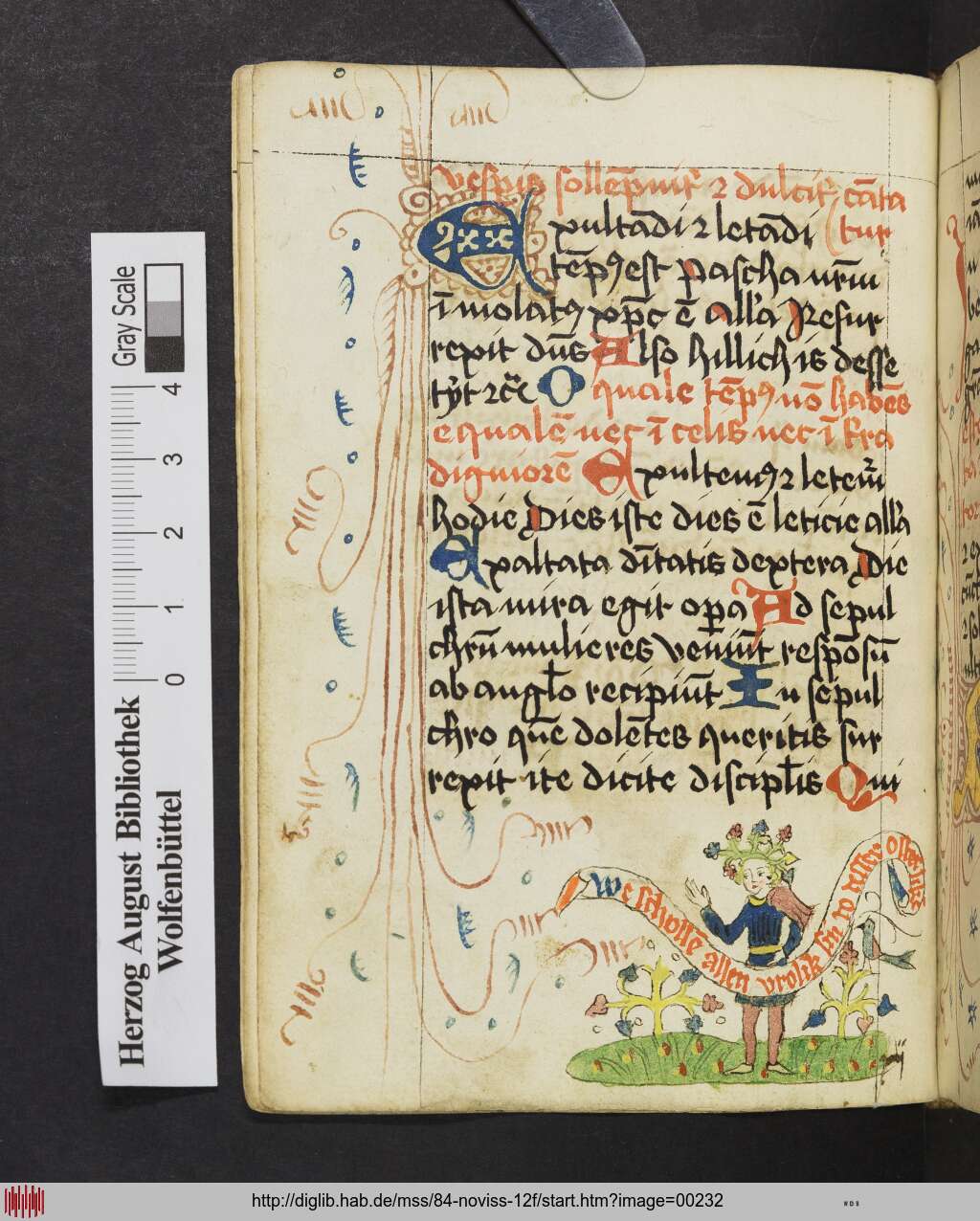 http://diglib.hab.de/mss/84-noviss-12f/00232.jpg