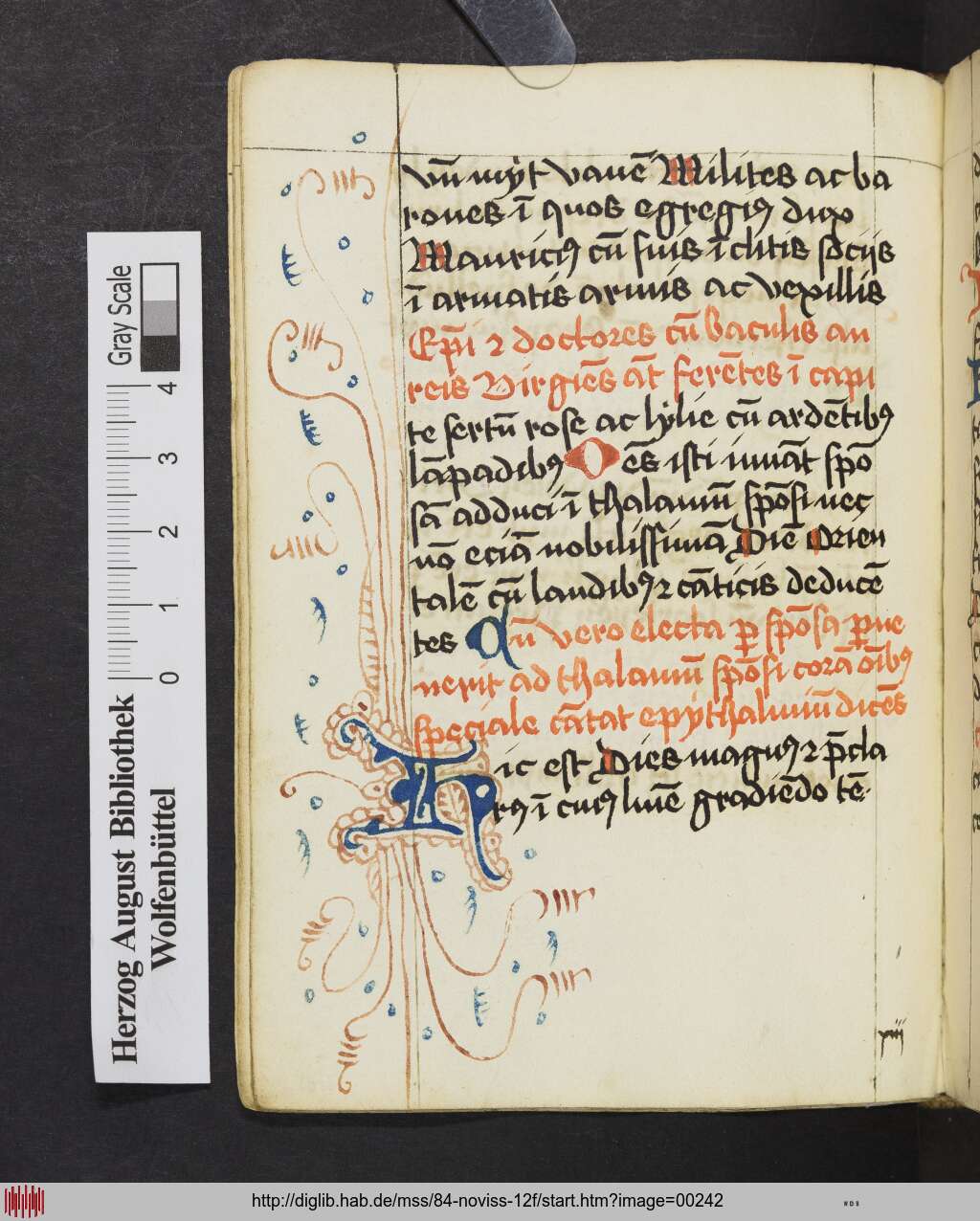 http://diglib.hab.de/mss/84-noviss-12f/00242.jpg
