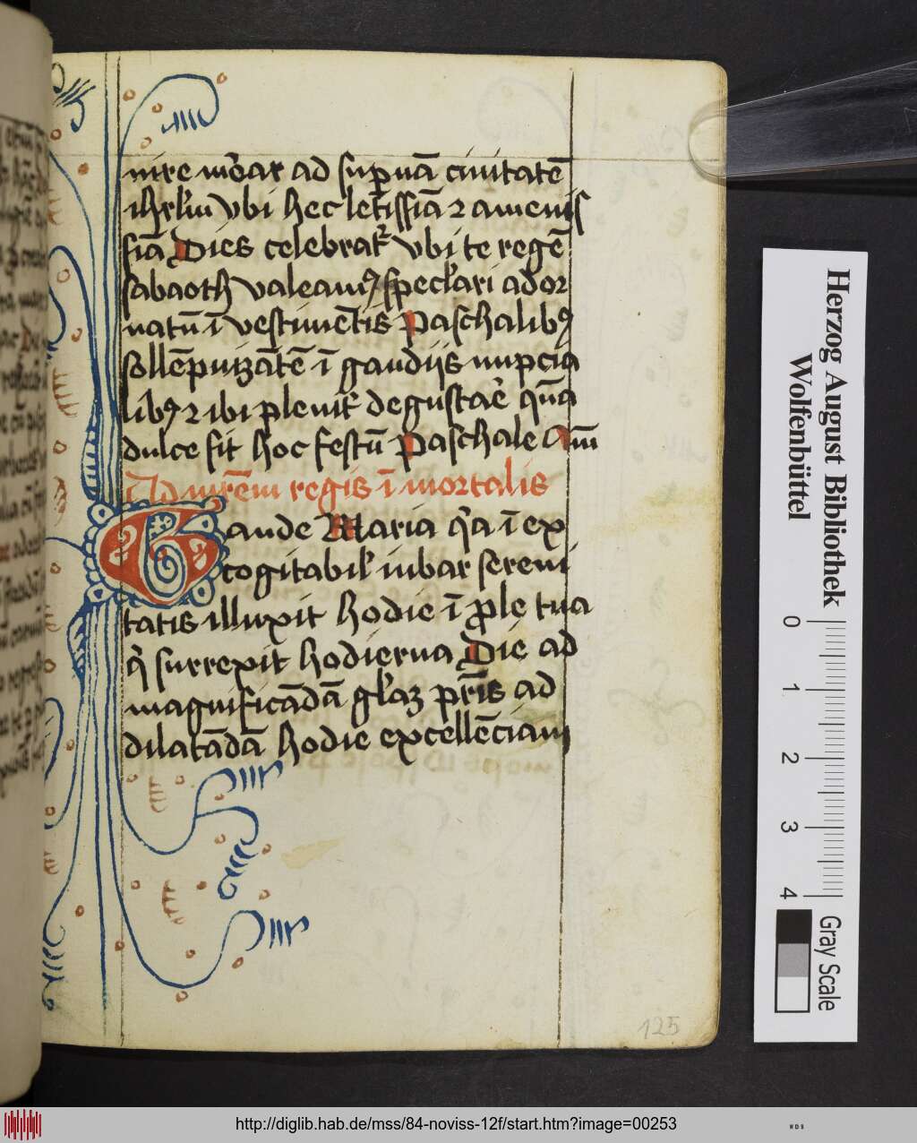 http://diglib.hab.de/mss/84-noviss-12f/00253.jpg