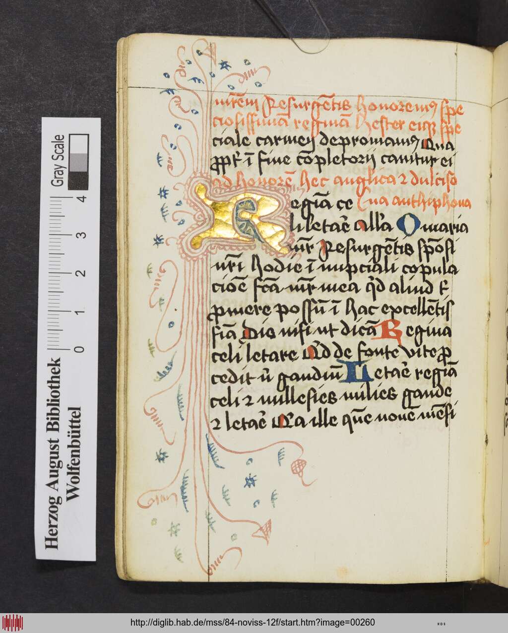 http://diglib.hab.de/mss/84-noviss-12f/00260.jpg