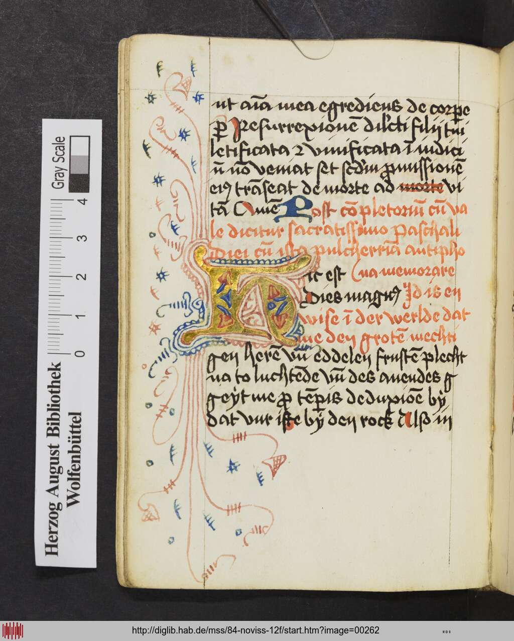 http://diglib.hab.de/mss/84-noviss-12f/00262.jpg