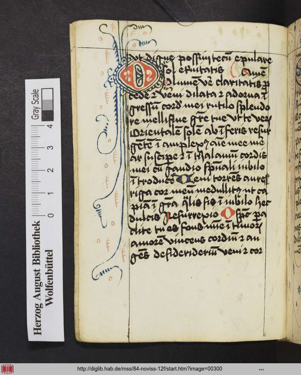 http://diglib.hab.de/mss/84-noviss-12f/00300.jpg