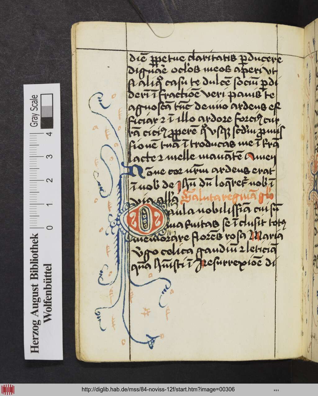 http://diglib.hab.de/mss/84-noviss-12f/00306.jpg