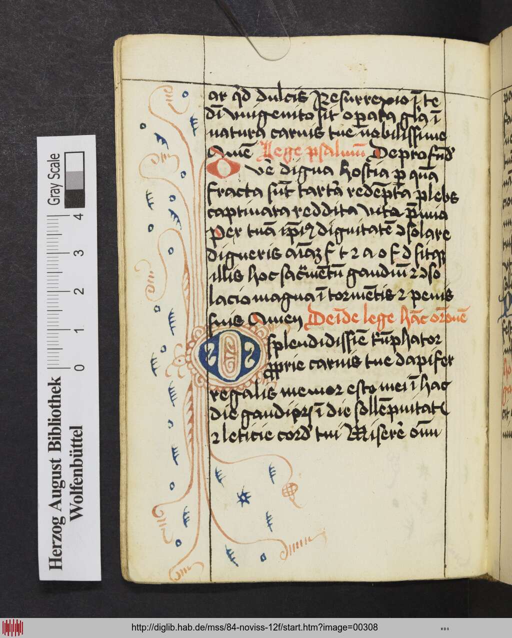 http://diglib.hab.de/mss/84-noviss-12f/00308.jpg