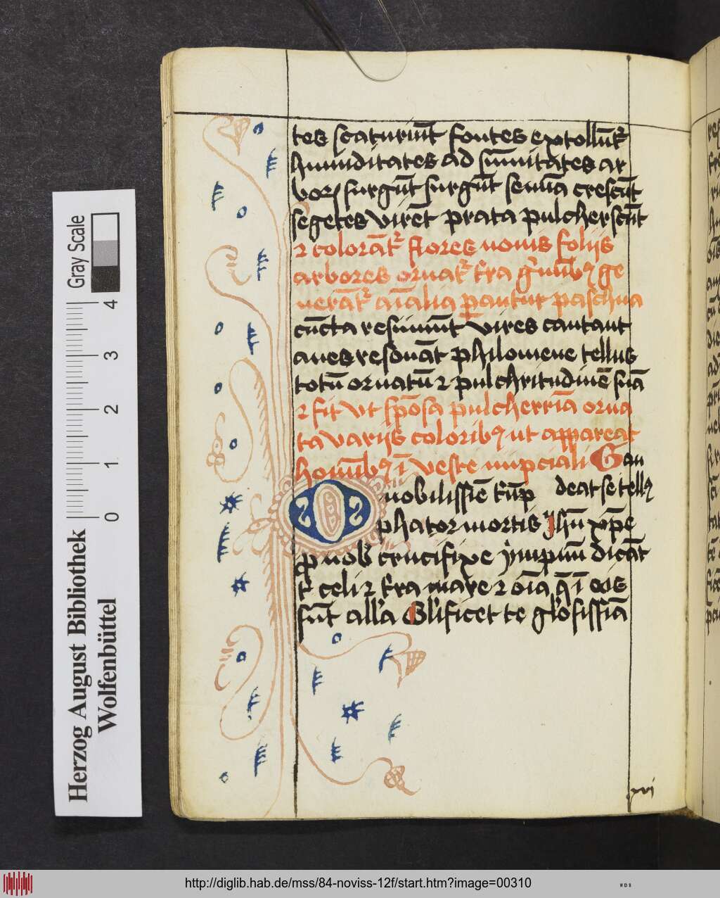 http://diglib.hab.de/mss/84-noviss-12f/00310.jpg