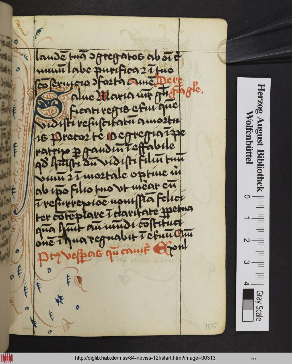 http://diglib.hab.de/mss/84-noviss-12f/00313.jpg
