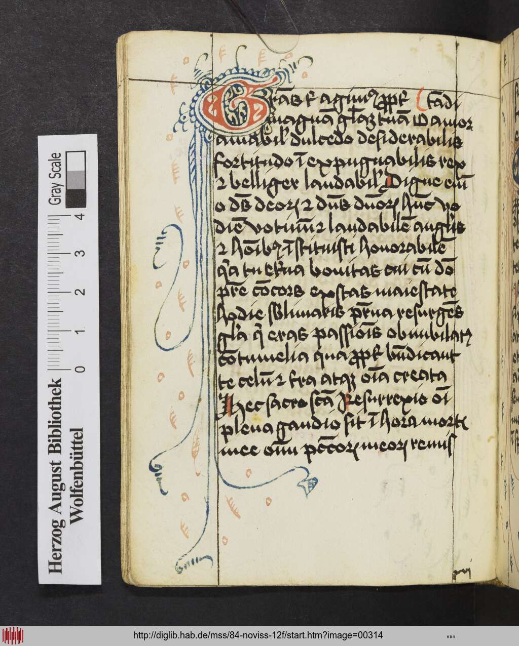 http://diglib.hab.de/mss/84-noviss-12f/00314.jpg
