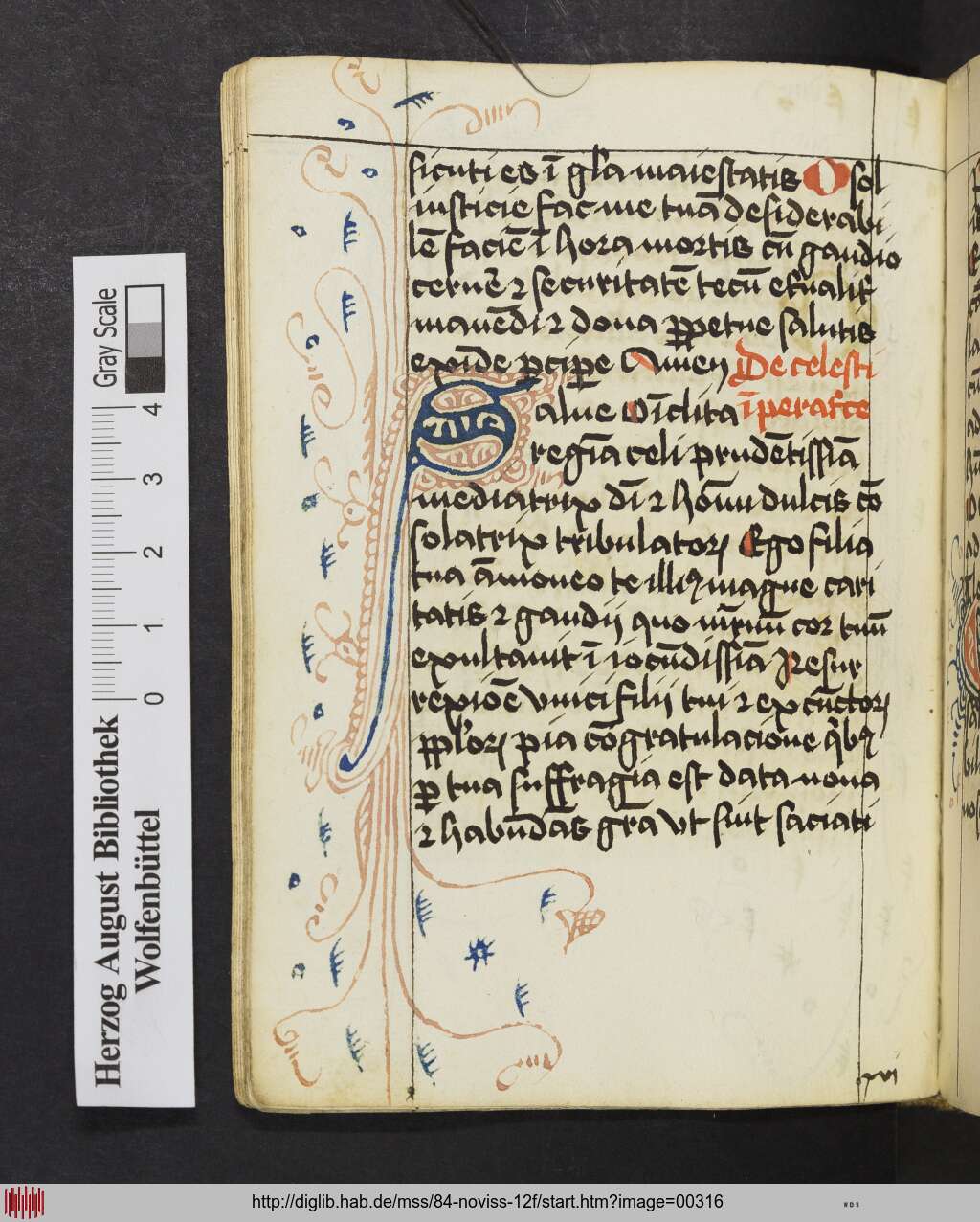 http://diglib.hab.de/mss/84-noviss-12f/00316.jpg
