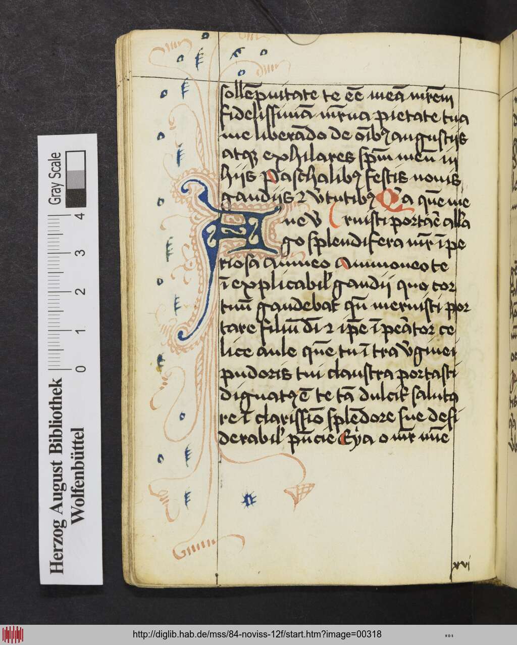 http://diglib.hab.de/mss/84-noviss-12f/00318.jpg