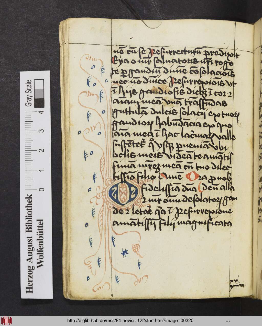 http://diglib.hab.de/mss/84-noviss-12f/00320.jpg